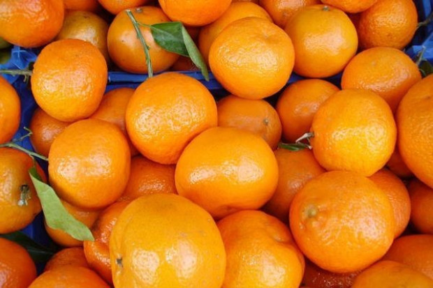 Tańsze mandarynki i pomarańcze, grejpruty i cytryny podrożały