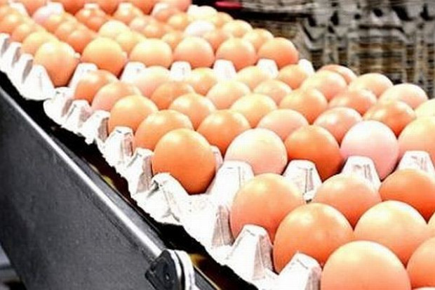 Koszyk dlahandlu: Przedświąteczne ceny w hipermarketach trzymają zeszłoroczny poziom