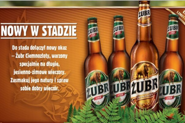 Kompania Piwowarska reklamuje Żubra Ciemnozłotego