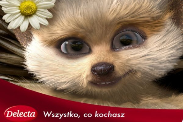 Delecta z promocją konsumencką