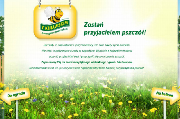 Olej Kujawski pomaga pszczołom