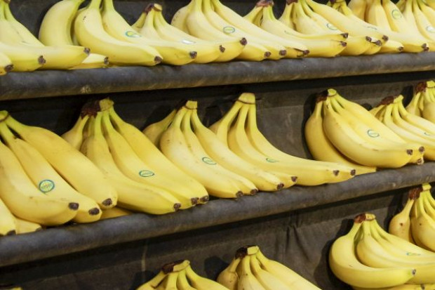 W pudłach z bananami pracownicy hipermarketu znaleźli kokainę