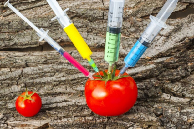 Fot. za Shutterstock.com Naukowcy pracują nad żywnością bez kalorii
