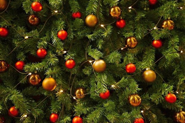 For. za Shutterstock.com Tesco zatrudni rozplątywacza lampek choinkowych
