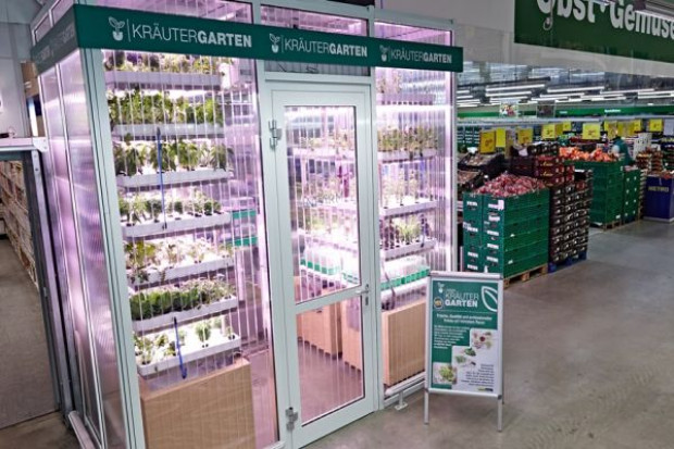 fot. za Metro Group Ogród-szklarnia w sklepie Metro Cash&Carry