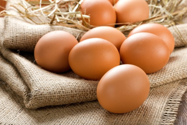 fot. shutterstock Jaja potencjalnie zanieczyszczone fipronilem trafiły do Polski. GIS uspokaja konsumentów