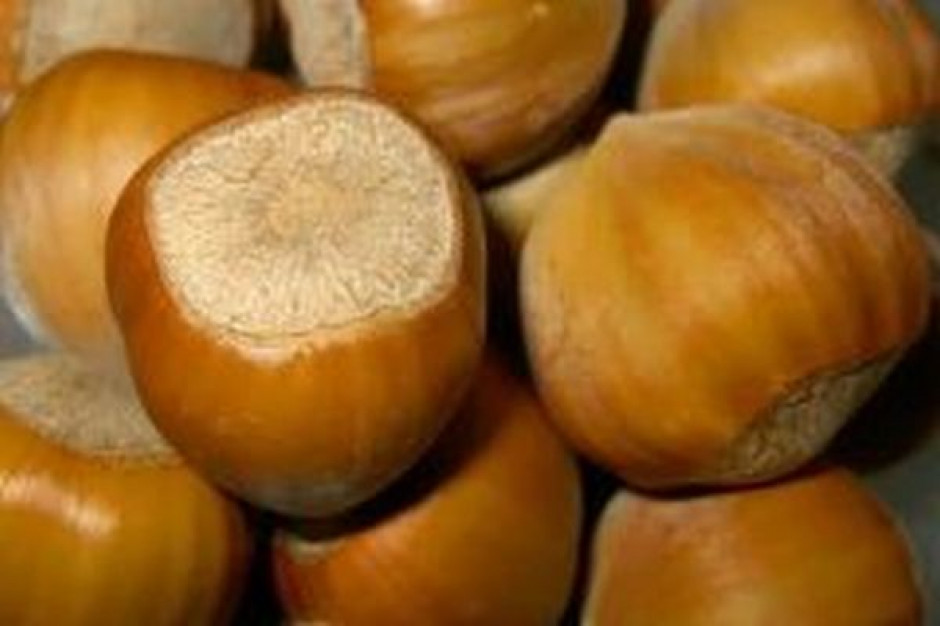Sprzedaż bakalii wzrośnie pomimo, że ceny będą wyższe