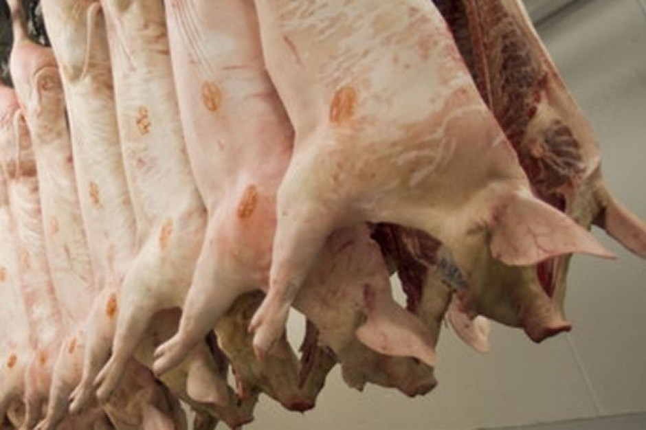 IJHARS stwierdziła obecność wieprzowiny w produkcie wołowym. Próbka pochodziła od hiszpańskiego dostawcy
