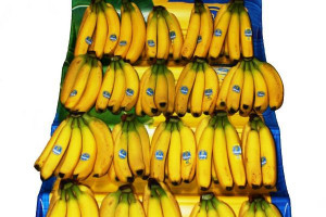 Poradnik: Banany powinny być układane w jednej warstwie, koronkami do góry