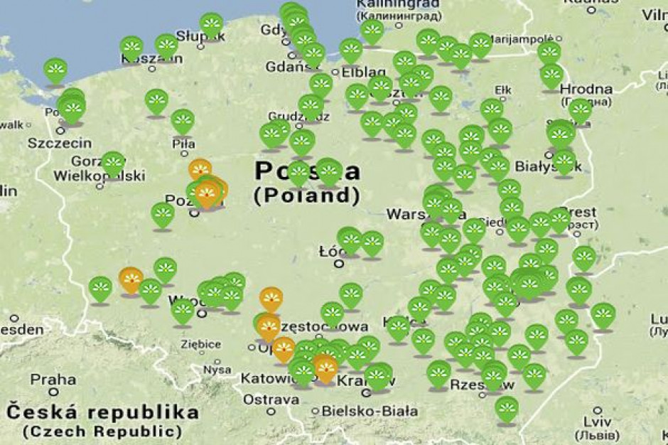 Stokrotka wystartowała z franczyzą - poznaj warunki współpracy