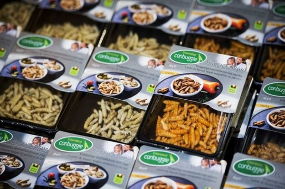 Sieć supermarketów wprowadza owady jako produkty jadalne