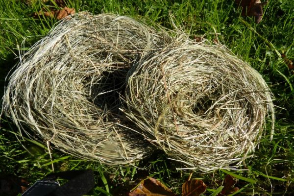 Polacy na wigilijne sianko wydadzą nawet 15 mln zł