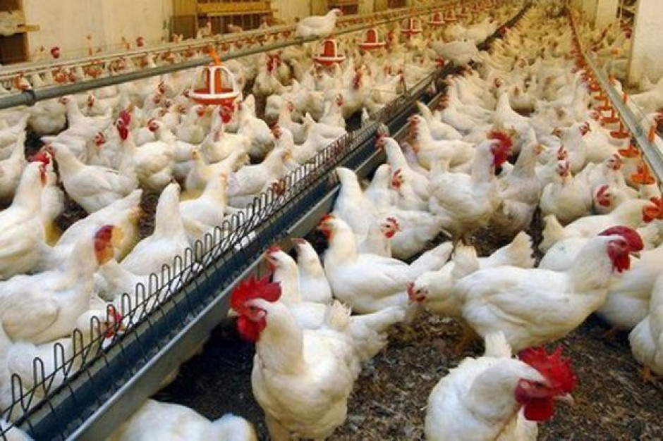 32 organizacje pozarządowe mają zastrzeżenia do negocjowanej umowy UE-USA