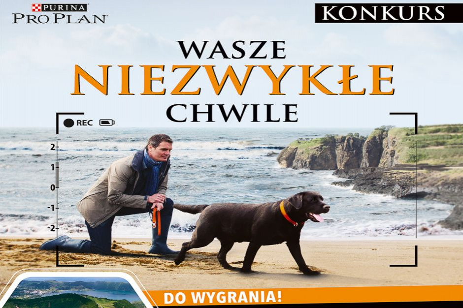 Fot. Nestle Konkurs fotograficzny marki kramy dla psów Pro Plan