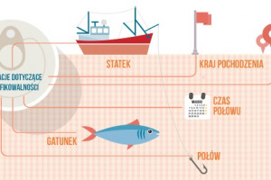 Skąd pochodzi tuńczyk Rio Mare? - nowa usługa marki dla konsumentów