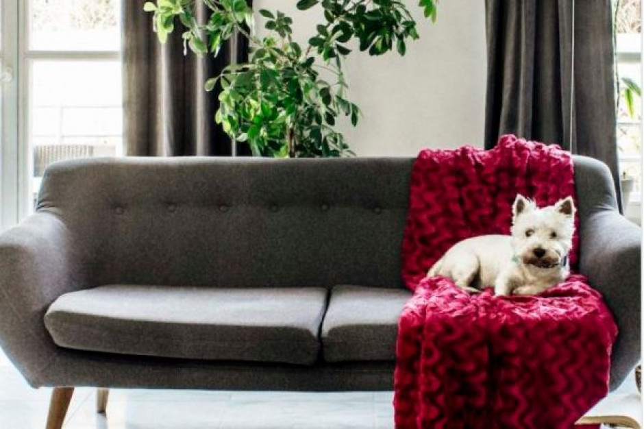 fot. za smukee.pl Duńskie "hygge" w nowej ofercie Biedronki