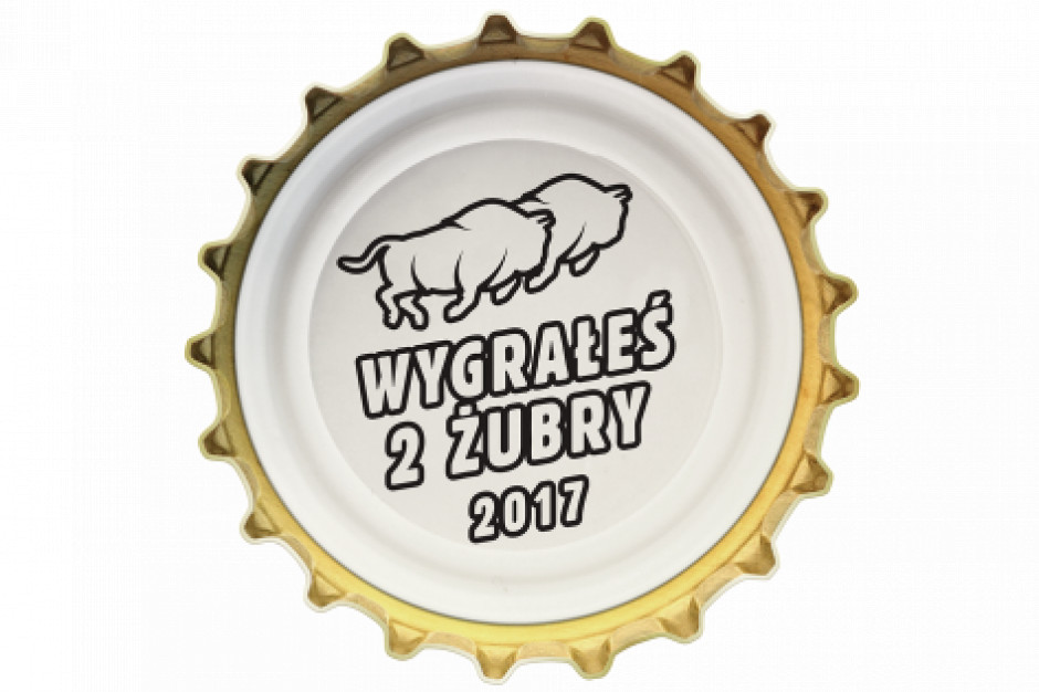 fot. materiały prasowe Dwa Szybkie Żubry wracają z silną kampanią