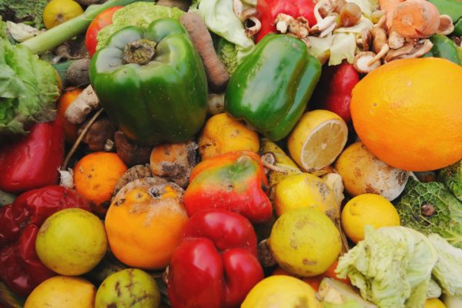 fot. shutterstock Supermarkety zapłacą 10 groszy za każdy kilogram odpadów żywnościowych?