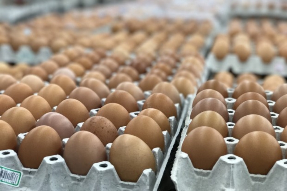 Fot. Shutterstock Fipronil w jajach pochodzących z trzech polskich ferm