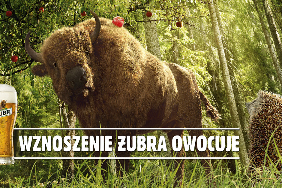 Fot. mat.pras. Wznoszenie Żubra owocuje – jesienna odsłona marki z nowym spotem