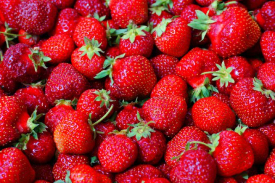 fot. shutterstock.com Świeże truskawki do końca października