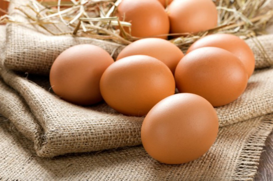 fot. Shutterstock Credit Agricole: Ceny jaj powinny spadać w grudniu