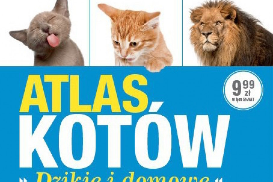 Fot. za Allegro.pl Atlas Kotów hitem sprzedaży!