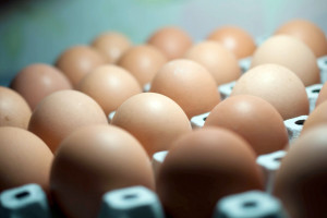 W 2017 r. kilkanaście sieci zrezygnowało ze sprzedaży jaj z chowu klatkowego