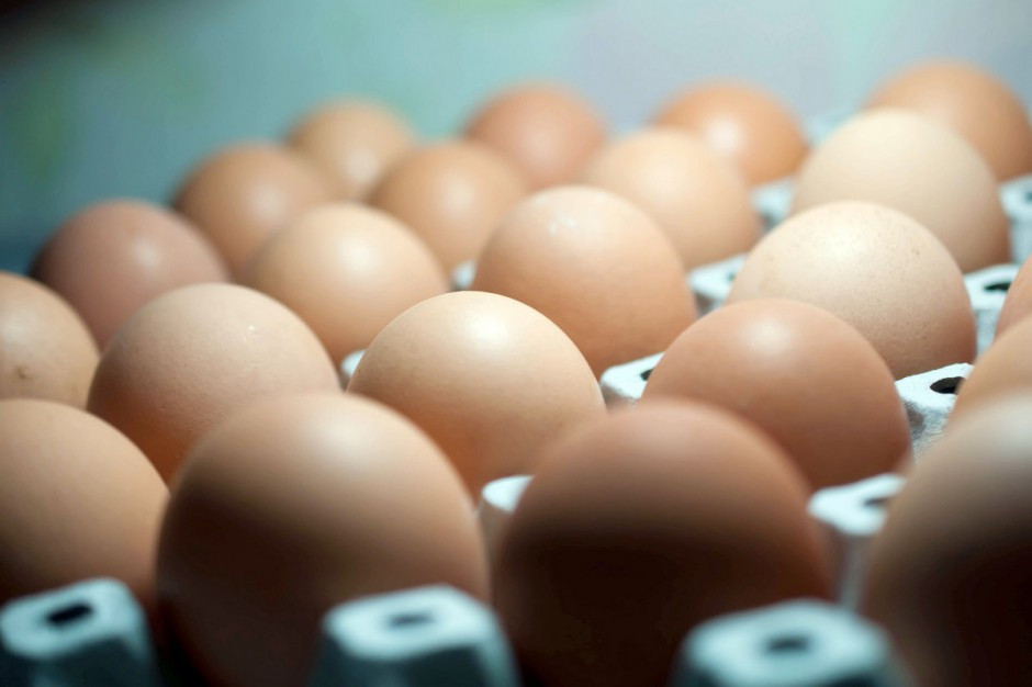 USA: Sieci handlowe zapłacą karę za brak jaj klatkowych w ofercie?