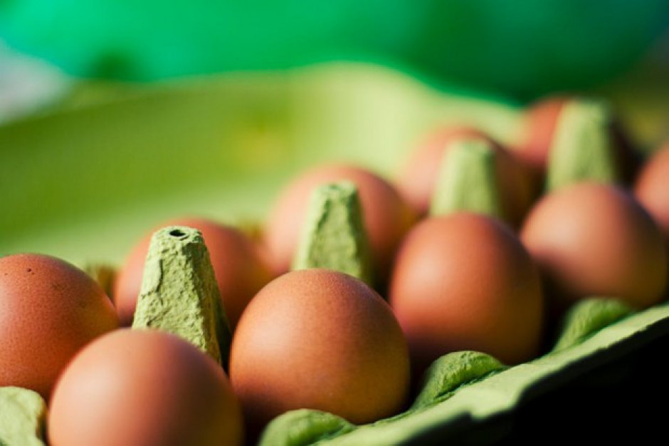 fot. za pexels.com Badanie: Polacy są w stanie więcej zapłacić za produkt lepszej jakości, produkowany ekologicznie