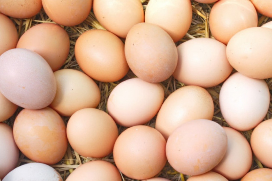 Fot. Shutterstock.com KIPDiP: Marże na jajach M i S są coraz niższe