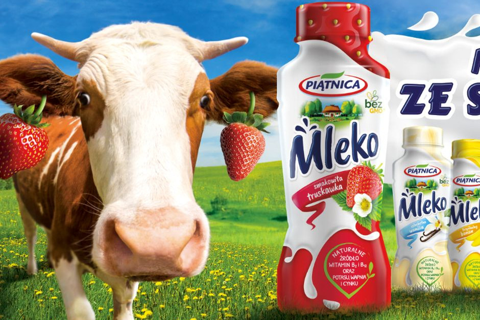 fot. materiały prasowe OSM Piątnica wybrała Veneo do promocji mlek smakowych