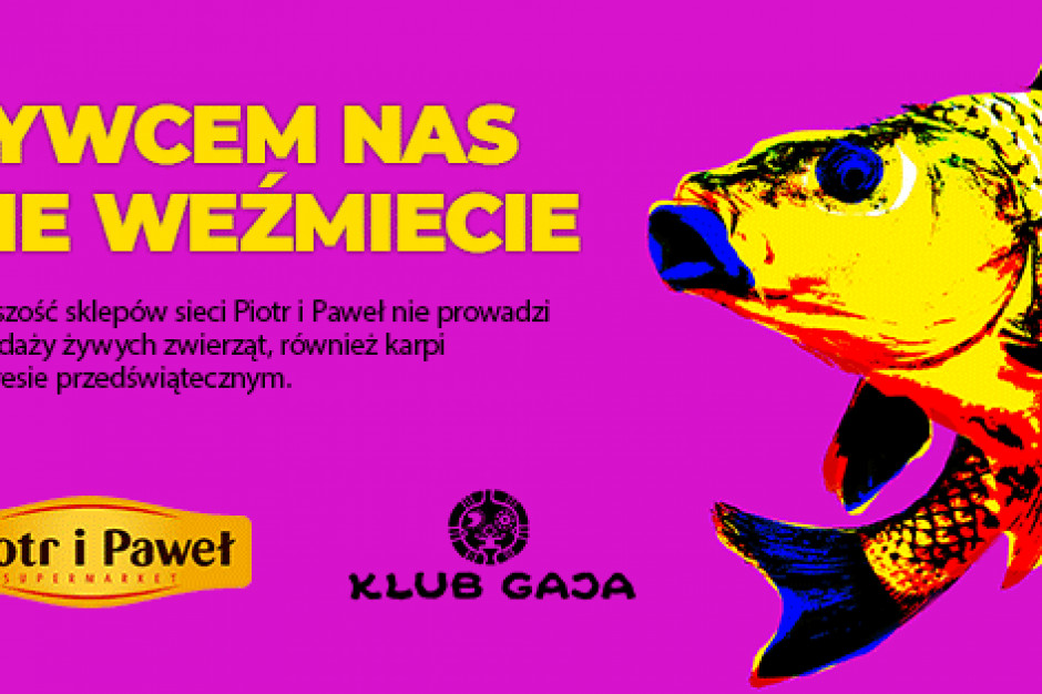 Fot. materiały prasowe Piotr i Paweł nie będzie sprzedawać żywych karpi