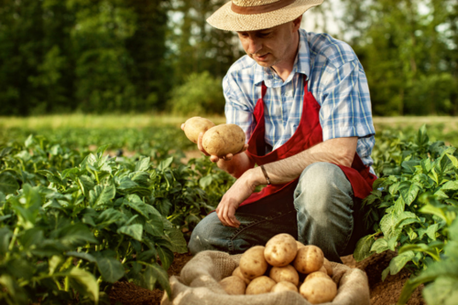 Fot. Shutterstock.com Dawid pokonał Goliata - PE za ochroną rolników przed marketami