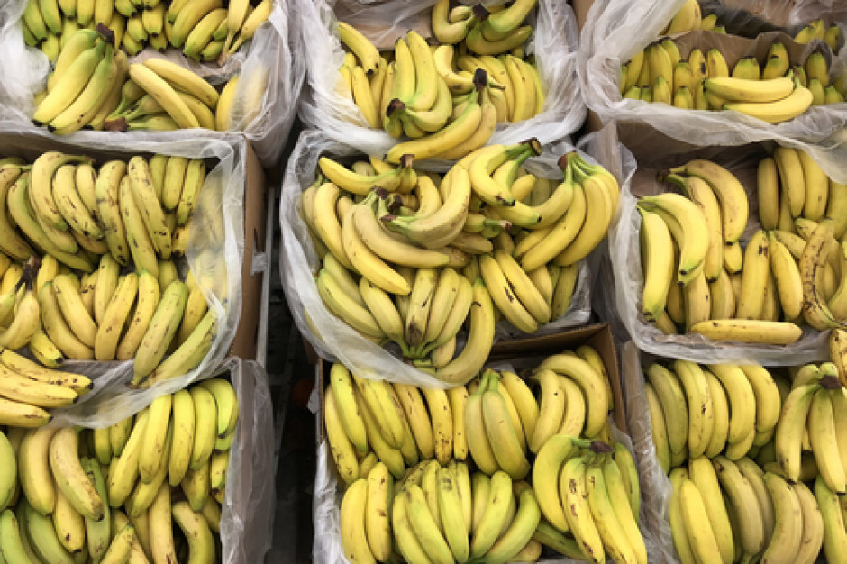 fot. shutterstock Kokaina warta 25 mln euro w bananach jadących do Aldi