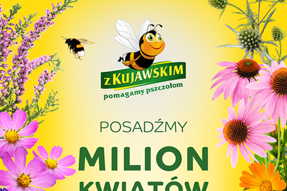 Marka Kujawski pomaga pszczołom