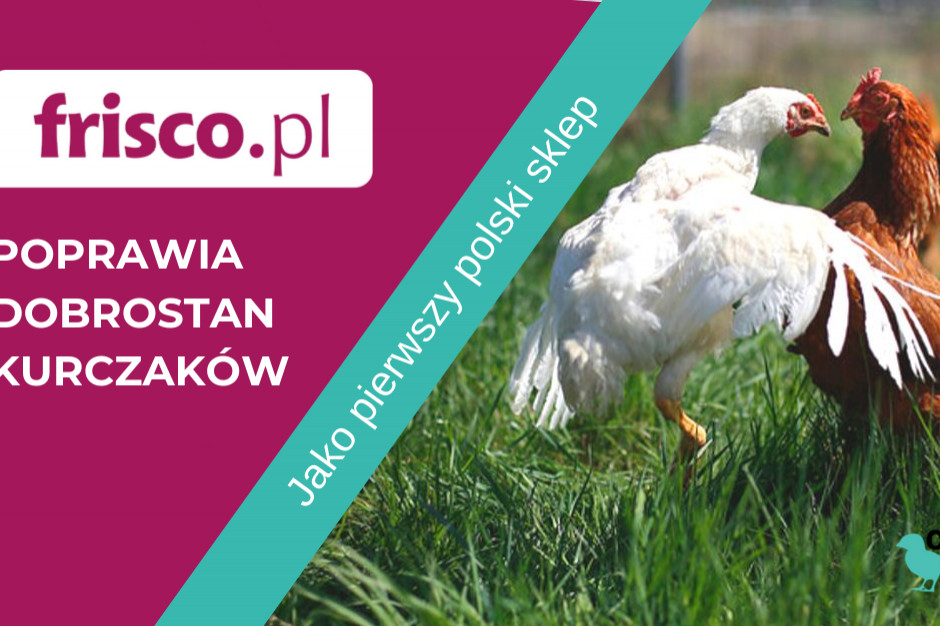 fot. materiały prasowe Frisco.pl zadba o dobrostan kurczaków