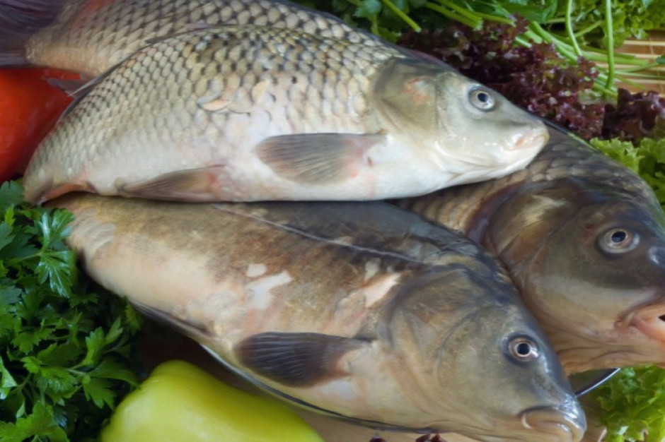 Fot. Shutterstock Tesco znalazło sposób na sprzedaż żywych karpi