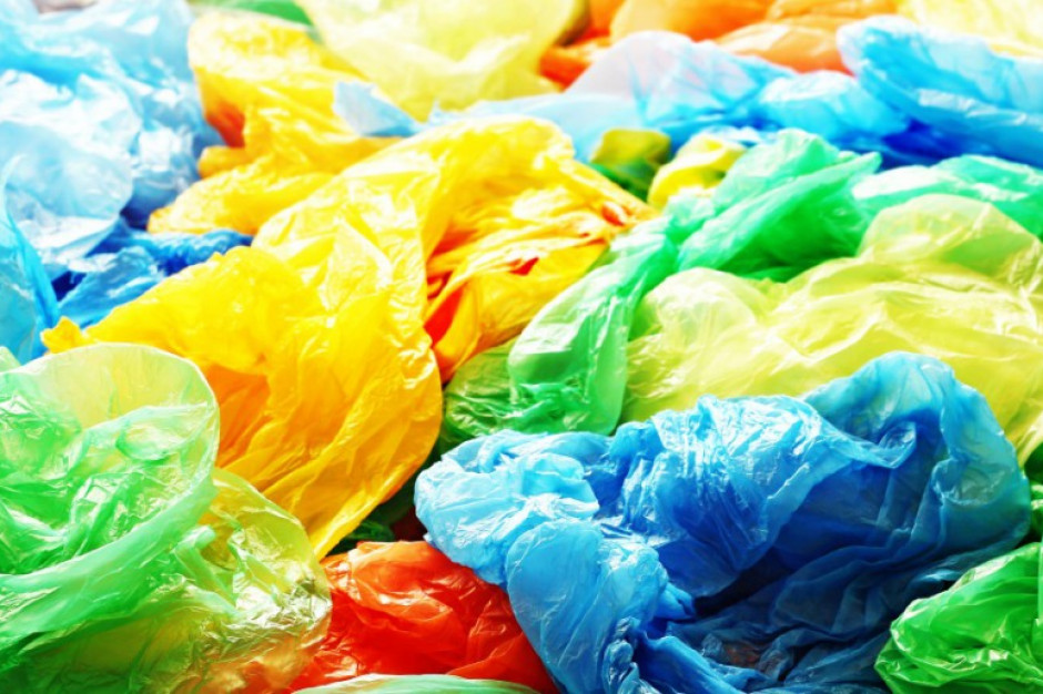 fot. shutterstock Torby plastikowe będą produkowane z pancerzy krabów?