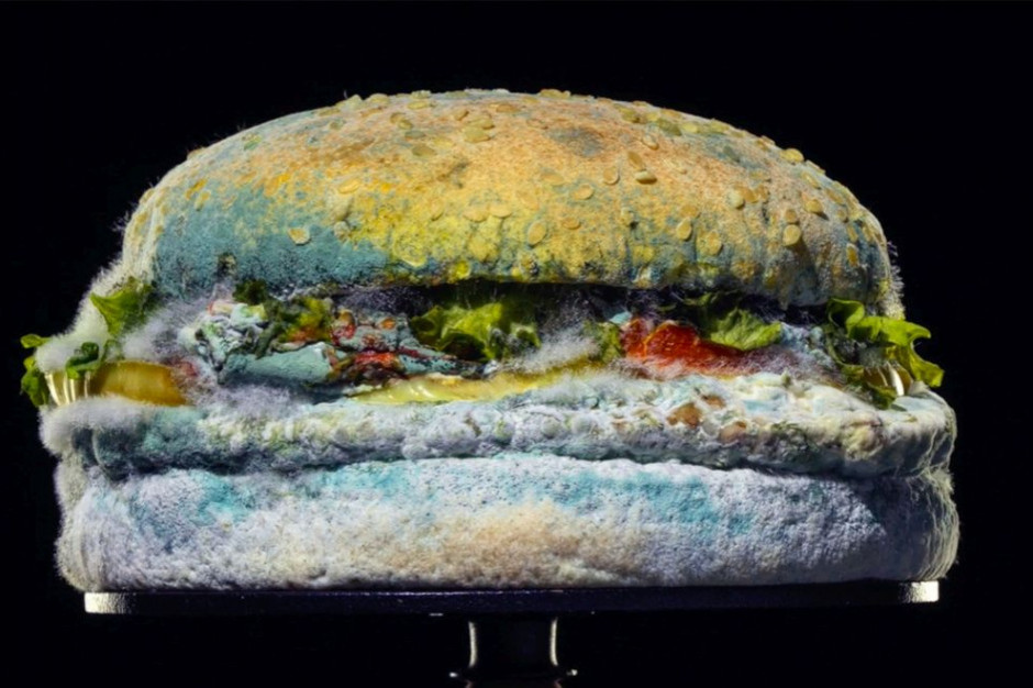 fot. materiały prasowe Reklama Burger King ze spleśniałym burgerem okiem rynkowych ekspertów