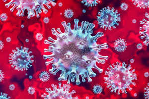 FPP: Skumulowany poziom strat w związku z pandemią koronawirusa sięga ok. 180 mld zł