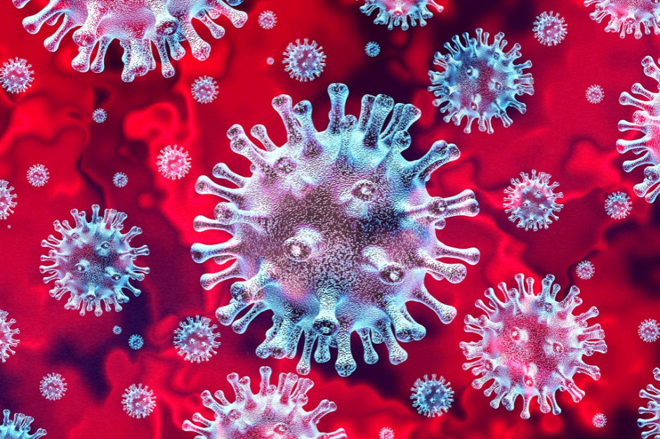 Gospodarka została już odmrożona w ok. 80 proc., fot. Shutterstock FPP: Skumulowany poziom strat w związku z pandemią koronawirusa sięga ok. 180 mld zł
