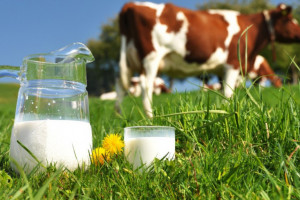 Nabiał przyszłości - nowe trendy na rynku mleka