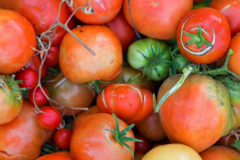 Podczas pandemii wzrosło zainteresowanie nieperfekcyjnymi warzywami i owocami/ fot. shutterstock USA: Start-upy sprzedają "niedoskonałe" owoce i warzywa w schemacie subskrypcji