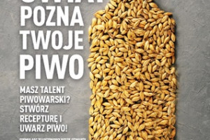 Browar PINTA i Lidl organizują konkurs dla domowych piwowarów