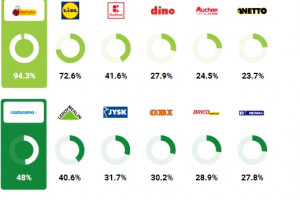 Najpopularniejsze sklepy: Biedronka, Rossmann, IKEA, Pepco, Castorama i MediaExpert