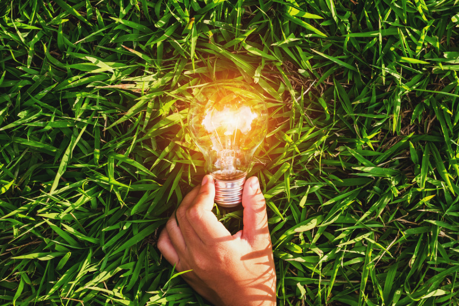 Auchan stawia na zieloną energię, fot. shutterstock Auchan przejdzie transformację energetyczną