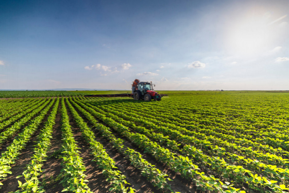 Tylko 3,5% powierzchni rolniczej w Polsce dedykowanej jest produkcji ekologicznej, fot. shutterstock 3/4 Polaków jest zainteresowanych kupowaniem produktów rolnictwa zrównoważonego
