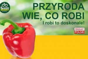 Biedronka sprzedaje niewybarwioną paprykę