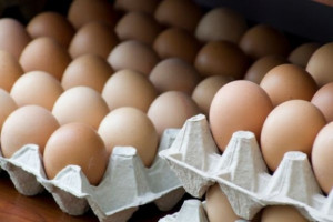 W Polsce nadal ponad 80 proc. produkcji jaj pochodzi z chowu klatkowego